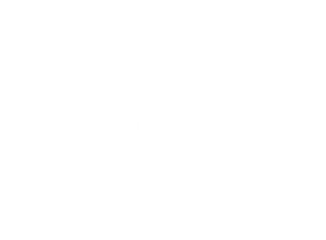 Logo Denso