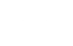 logo-indigo-vision